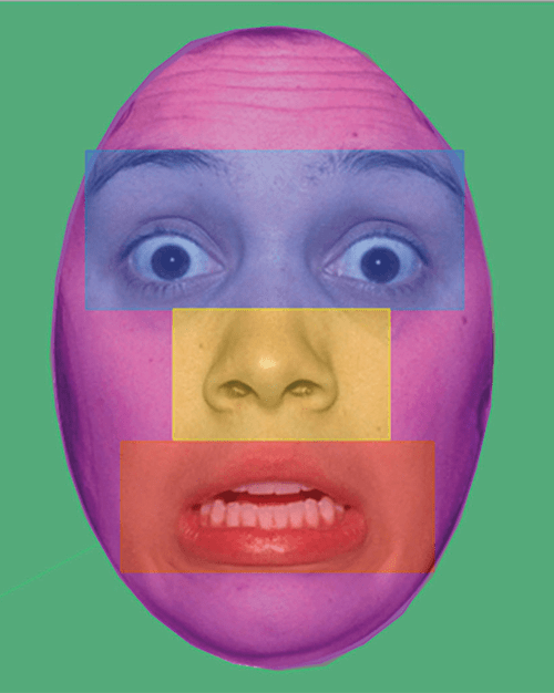 In this pilot assessment, participants viewed 60 photos of adult human faces from the NimStim Face Stimuli Set. The study tracked the time spent looking at the eye, nose, mouth, or whole face region. Time spent viewing the eyes and face as a whole implied greater social interest compared to other facial regions.